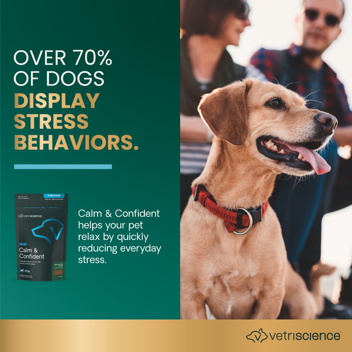 Vetriscience Calm