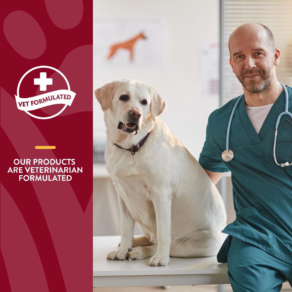 NaturVet Cranberry Relief Powder Plus Echinacea for Dogs and Cats, 50 grams