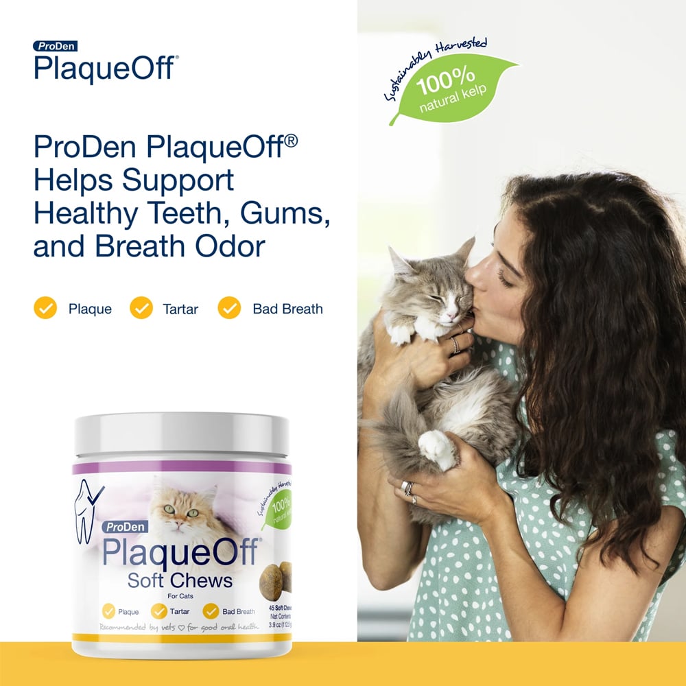 Proden-Plaque-Off-Soft-Chews-Front-Cat-Teeth