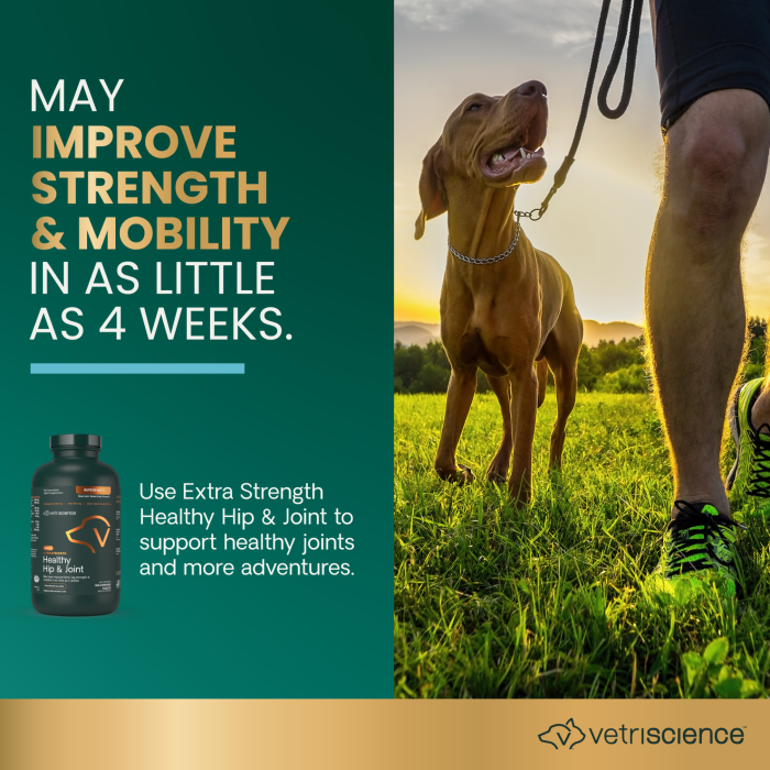 Extra Strength Healthy Hip & Joint Chewable Tablets for Dogs