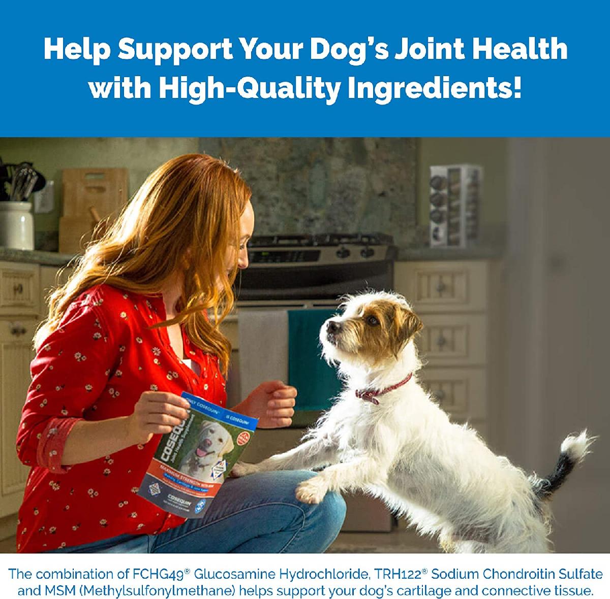 Nutramax Cosequin DS Joint Health Supplement for Dogs   With Glucosamine and Chondroitin, 132 Capsules