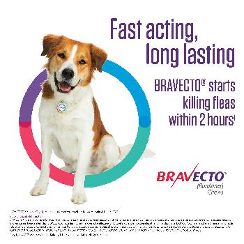Bravecto Chews (fluralaner) Flea and Tick Treatment for Dogs by Merck, 88 123 lbs, 1400 mg, 1 ct