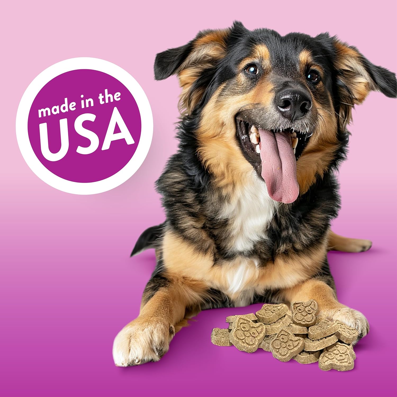 Dog Treats