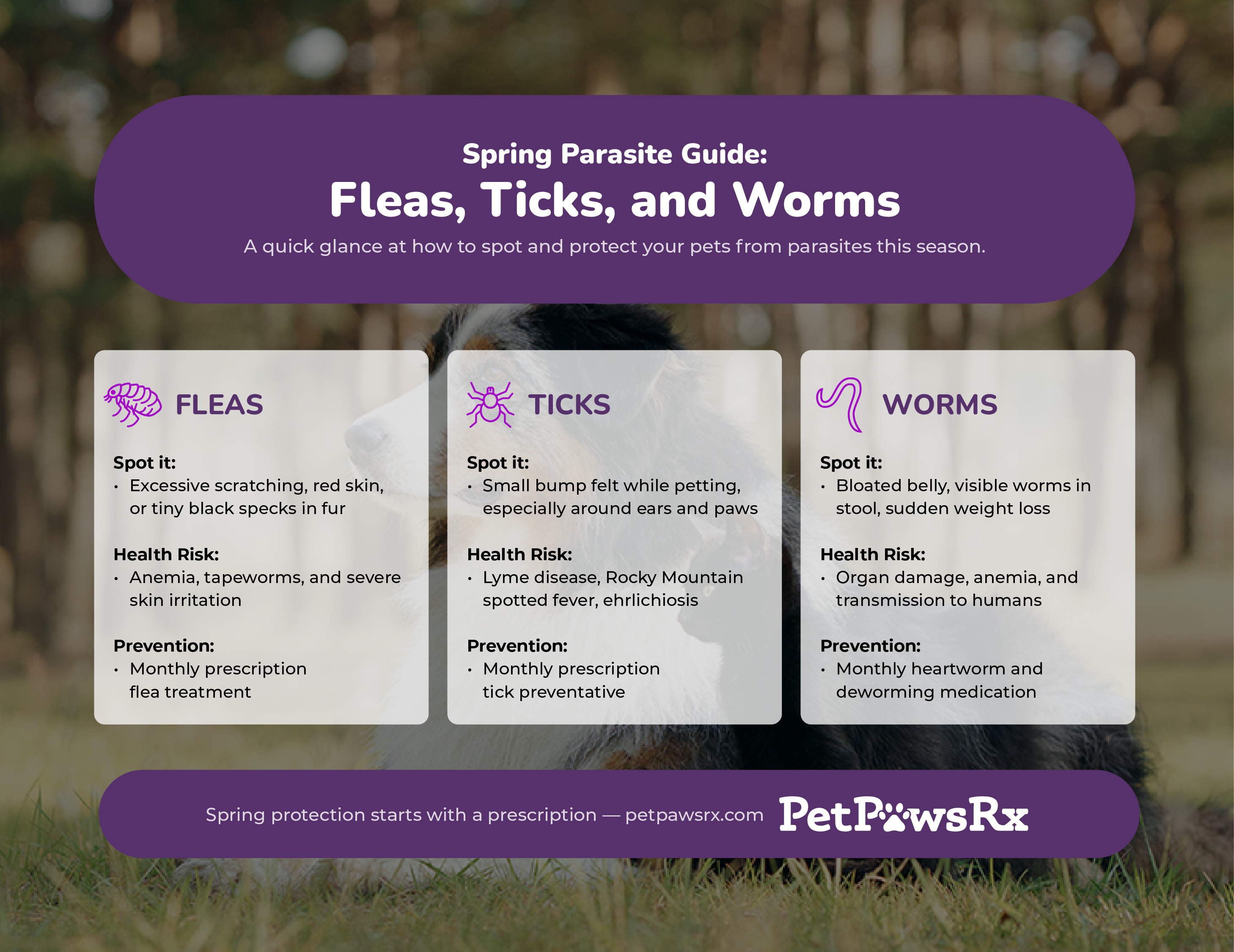 Spring Parasite Guide