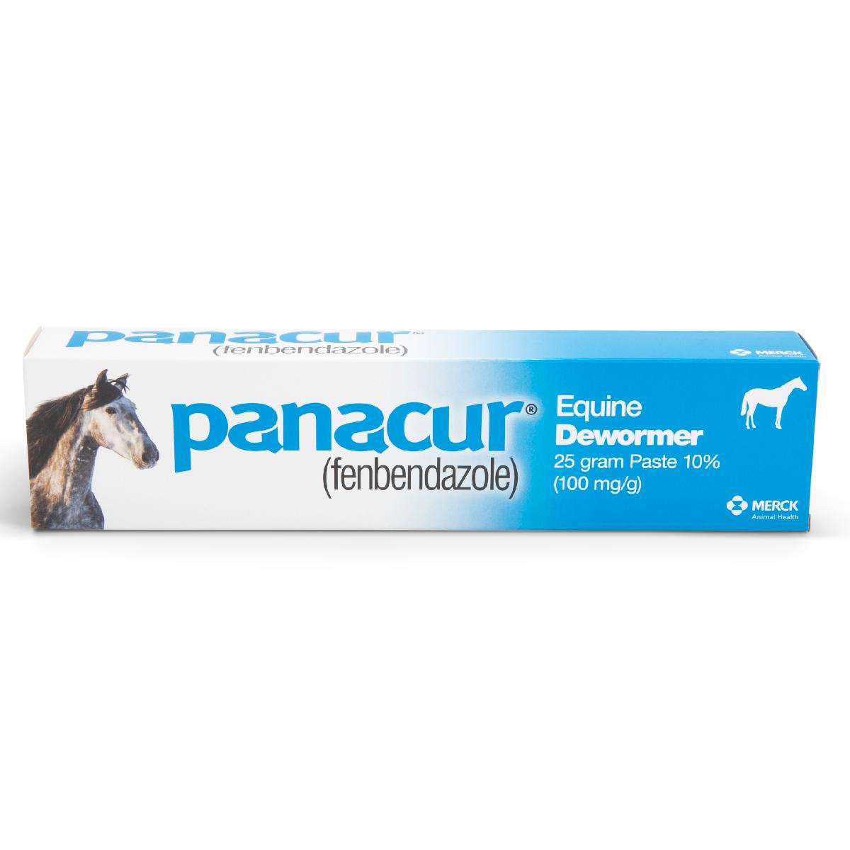 Panacur (fenbendazole) Dewormer Paste 10 percent, 25 grams