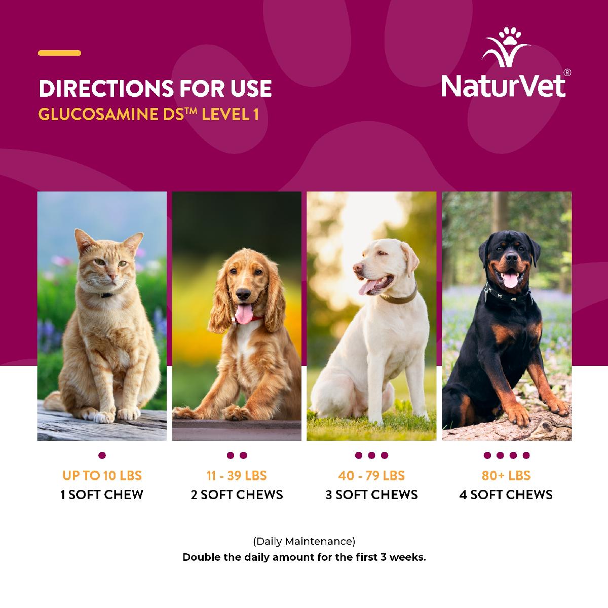 NaturVet Glucosamine DS Soft Chews, Level 1 Maintenance Care for Dogs and Cats, 120 count