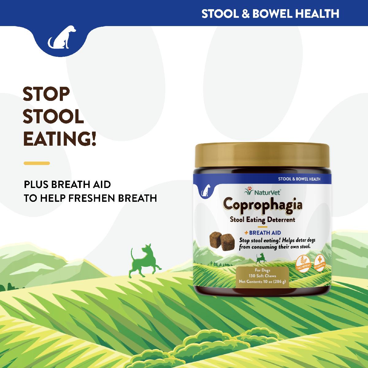 NaturVet Coprophagia Stool Eating Deterrent Plus Breath Aid Soft Chews, 130 count jar