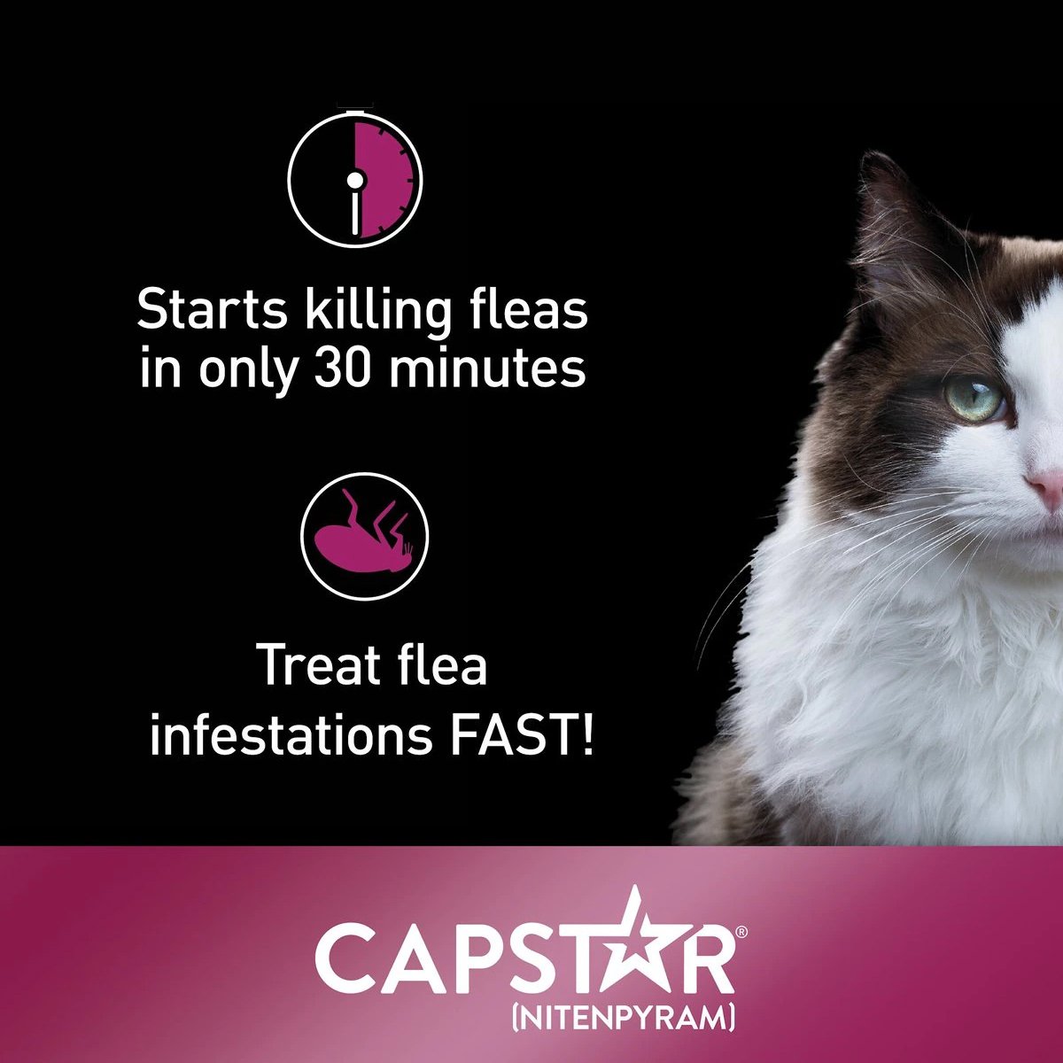 Capstar for Cats, 2 25 lbs, 6 tablets