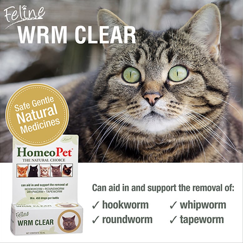 HomeoPet Feline WRM Clear, 15 mL