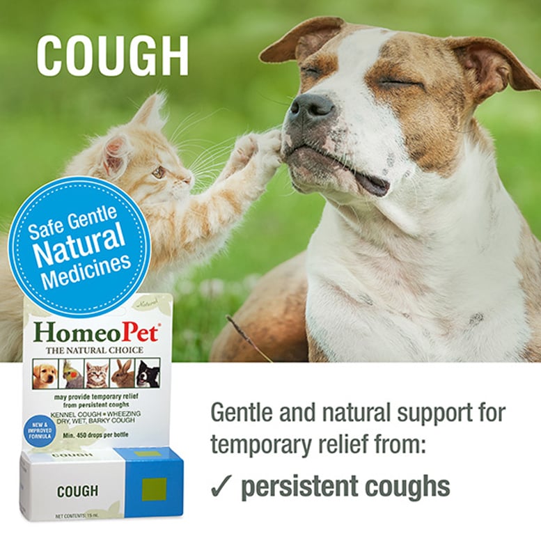 HomeoPet Cough Relief, 15 ml