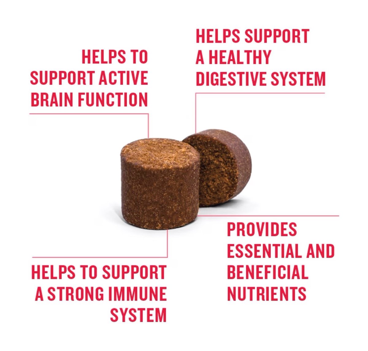 VetIQ-Multivitamin-Helps-Support-Dog