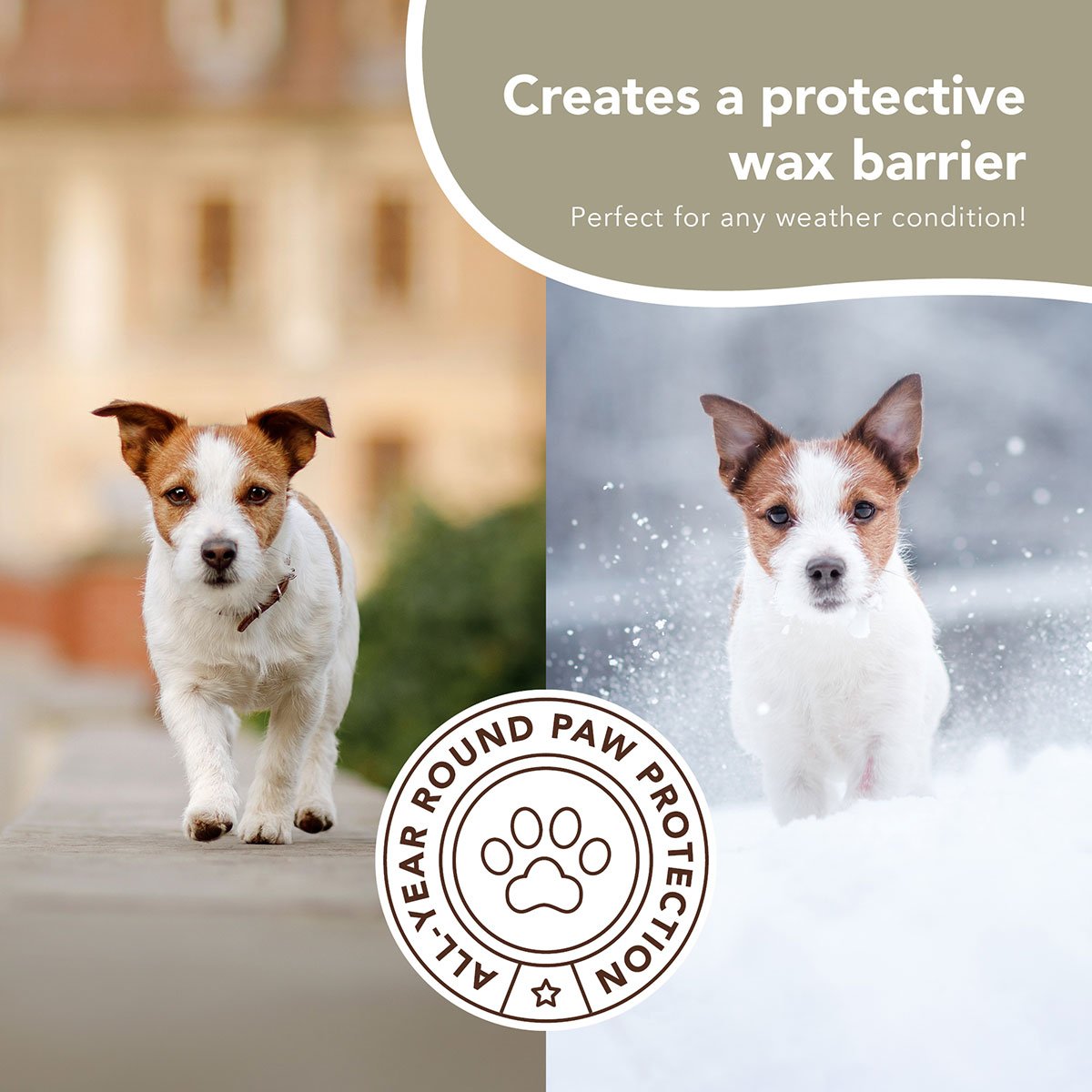 Pawtection - Image 4.jpg