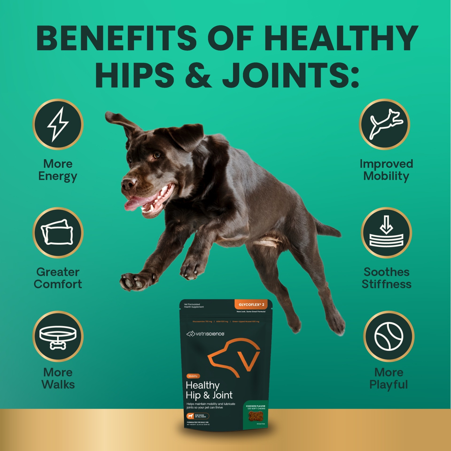 Healthy Hip & Joint