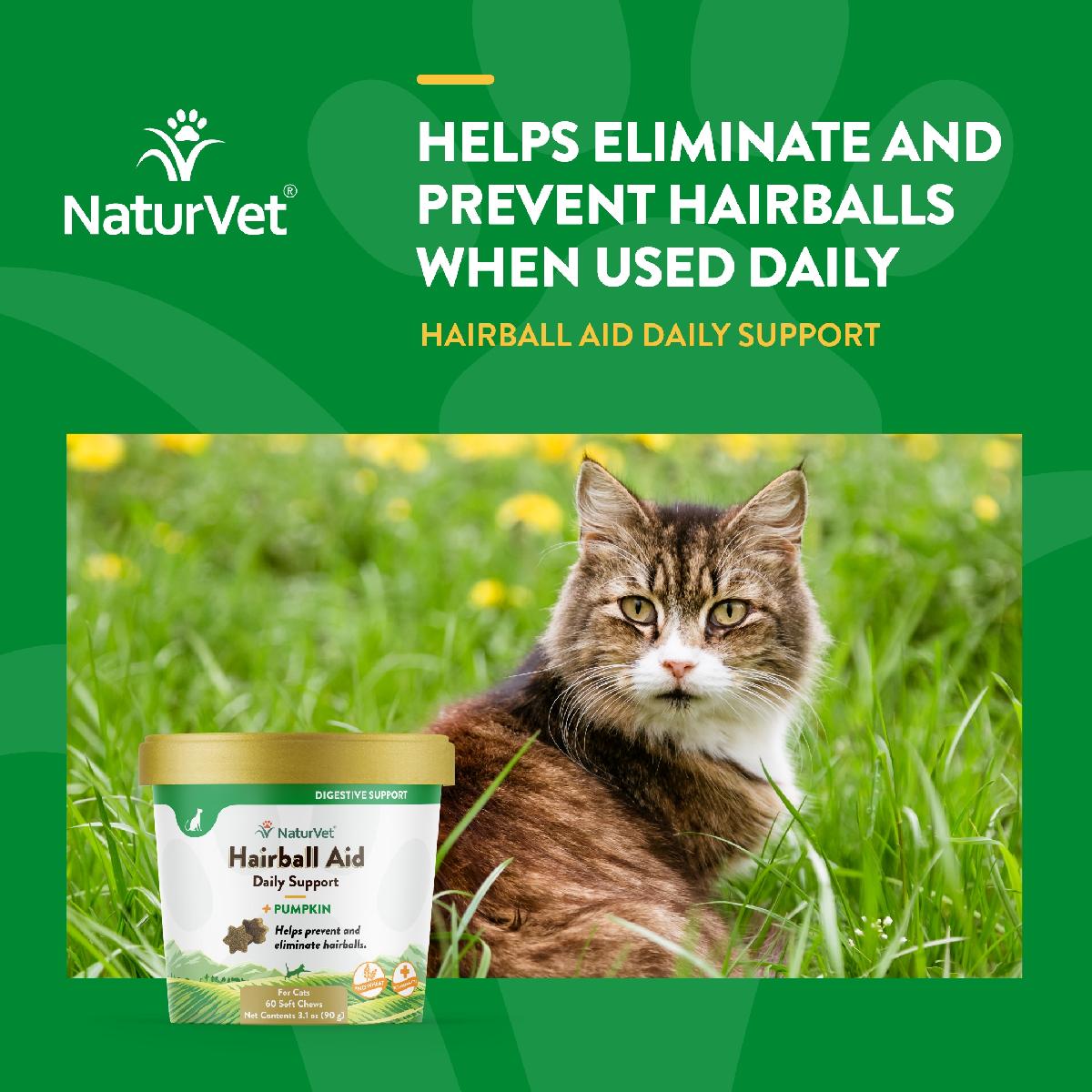 NaturVet Cat Hairball Aid Plus Pumpkin, 60 Soft Chews, 3.1 oz