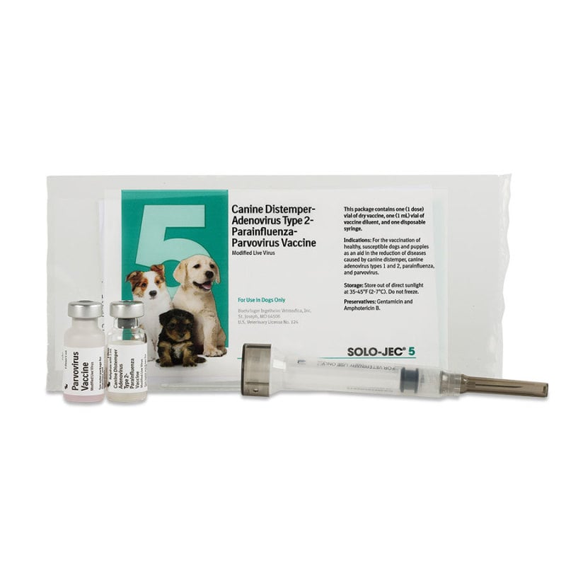 Solo Jec 5 Vaccine for Dogs, 1 single dose with syringe