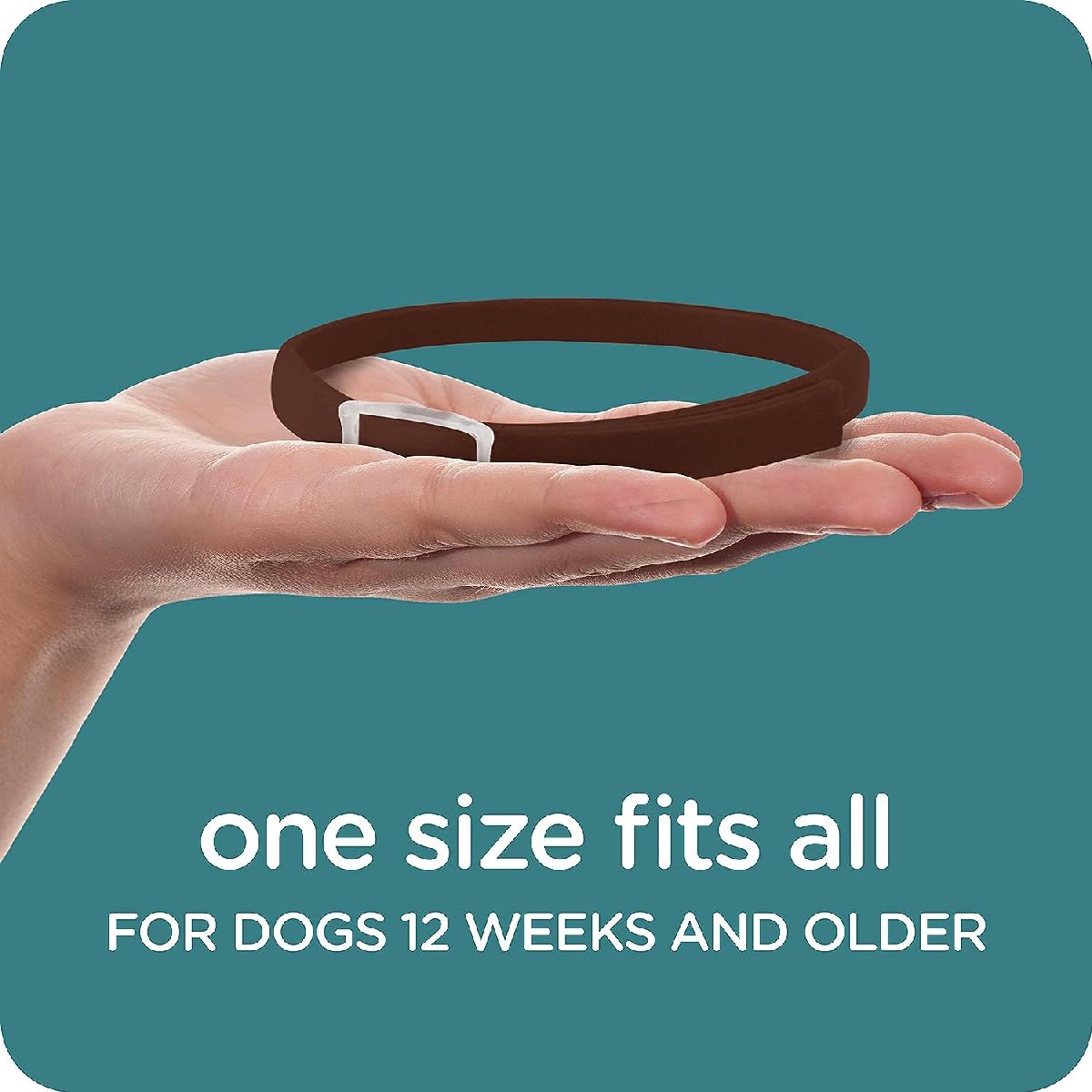 Sergeants-Guardian-Collar-Dogs-one-size