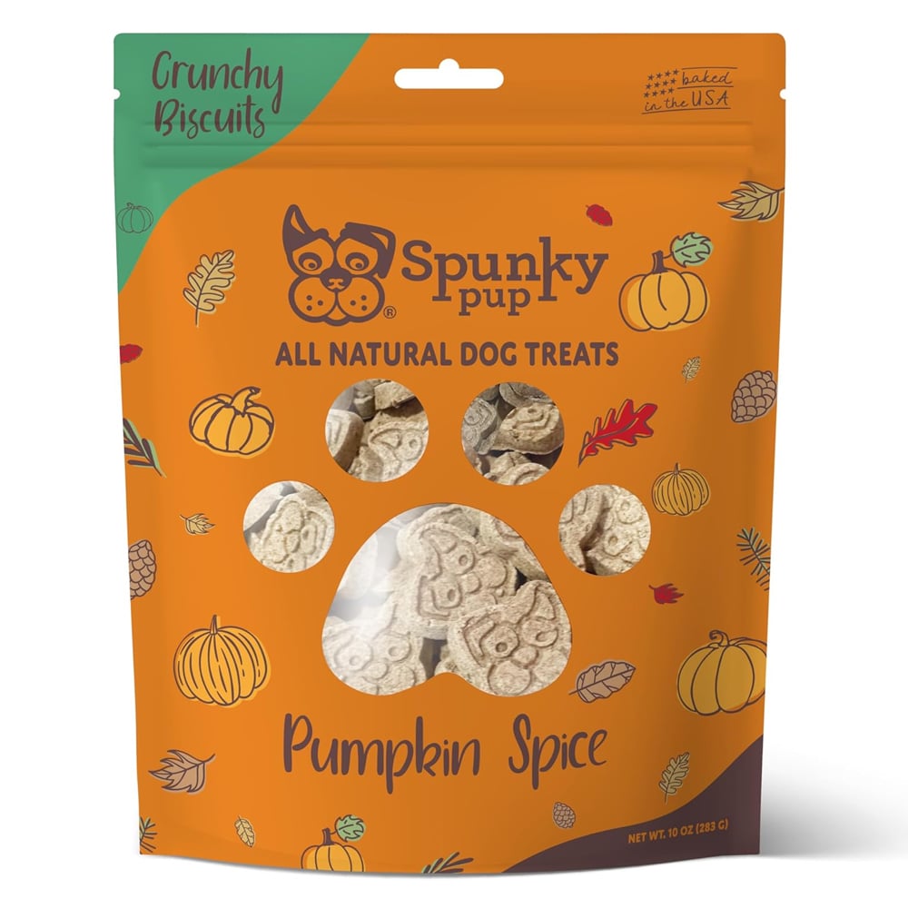 Pumpkin Dog Treat