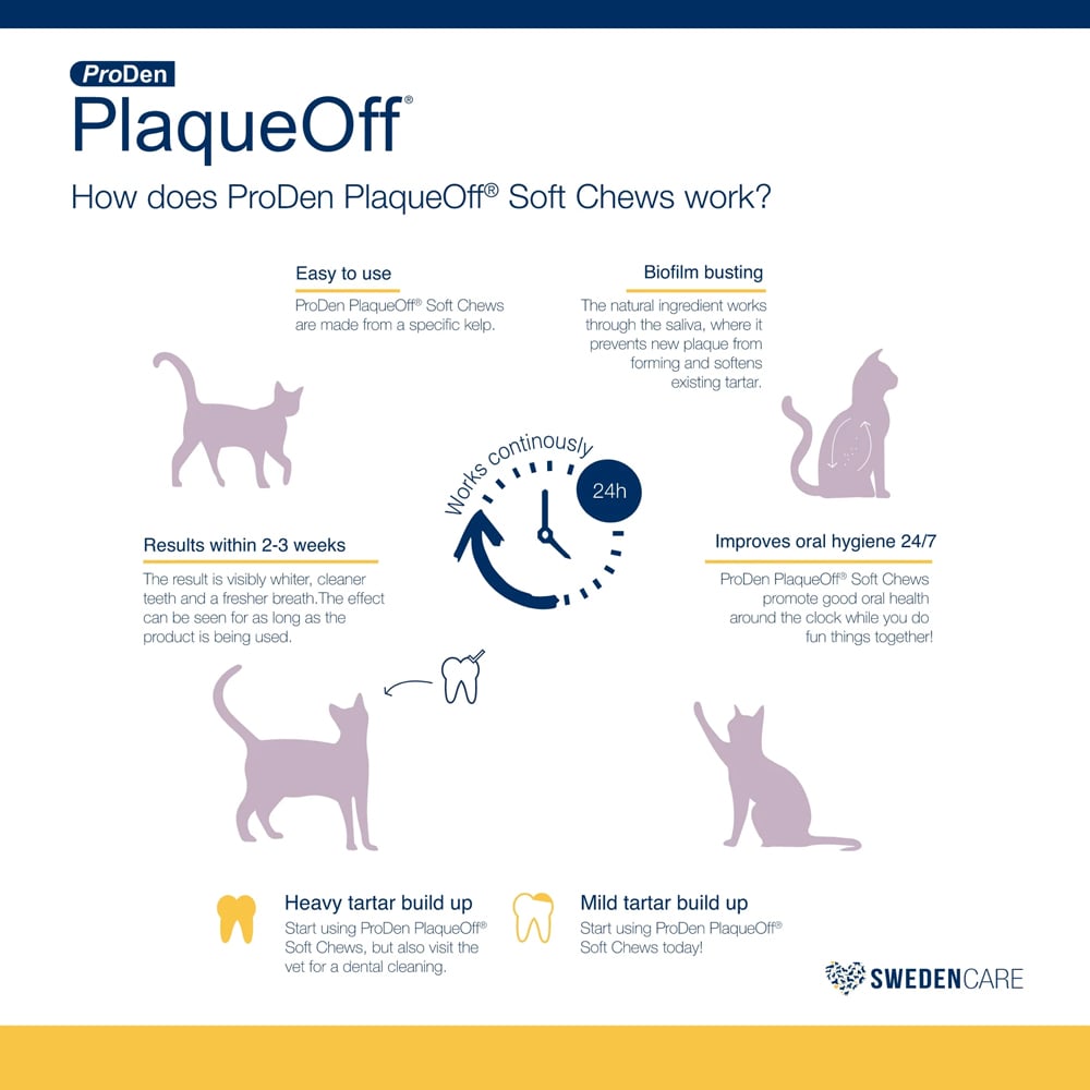 Proden-Plaque-Off-Soft-Chews-Front-Cat-How
