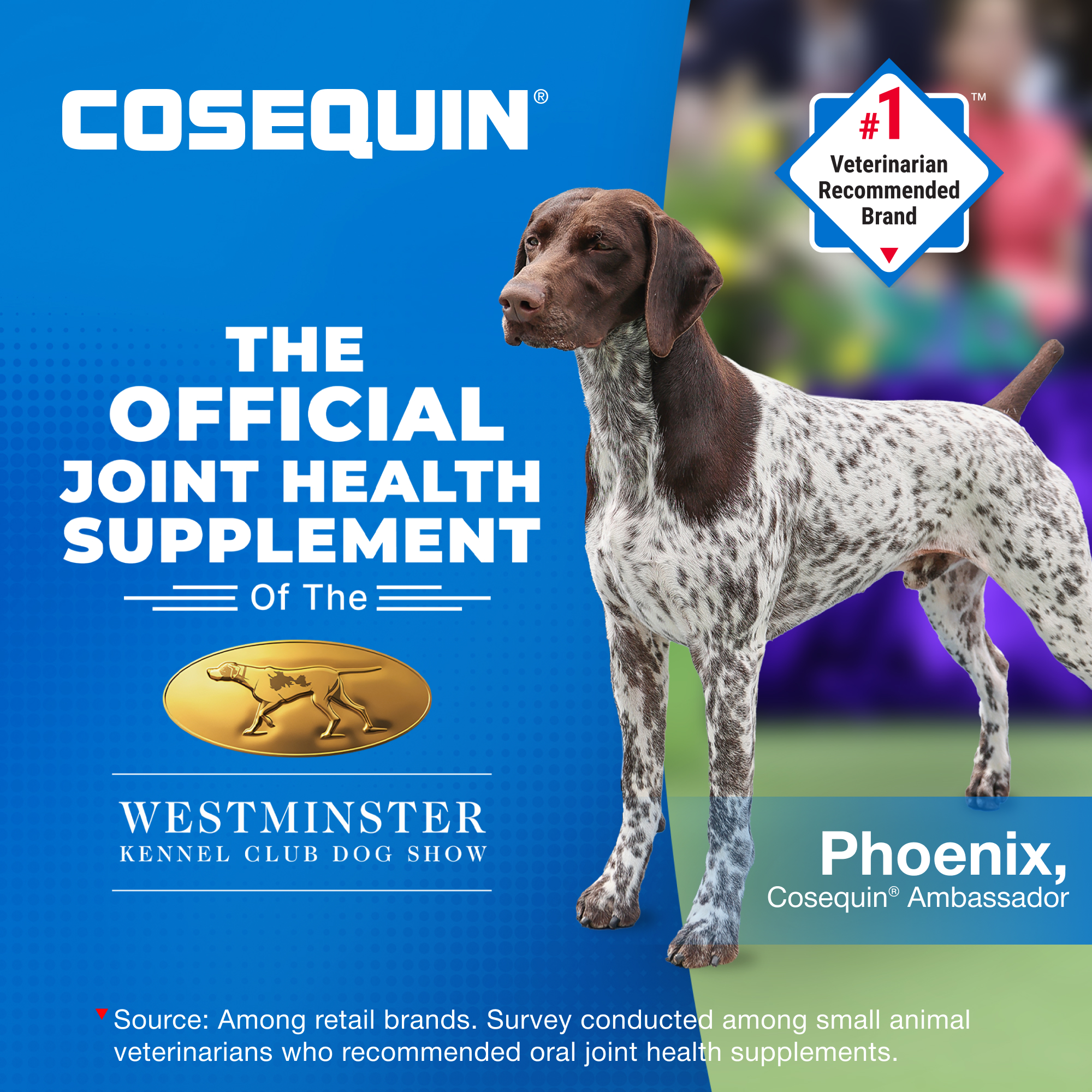 Nutramax Cosequin