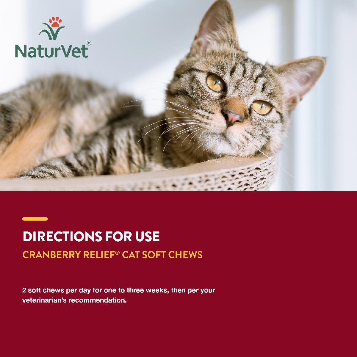 NaturVet Cranberry Relief Plus Echinacea Cat Soft Chews, 60 count