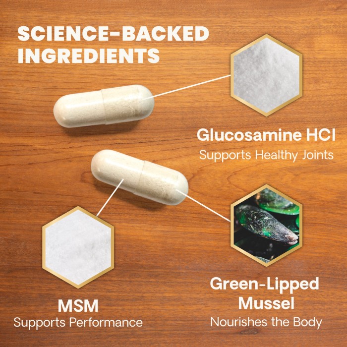 Extra Strength Healthy Hip & Joint Chewable Tablets for Dogs