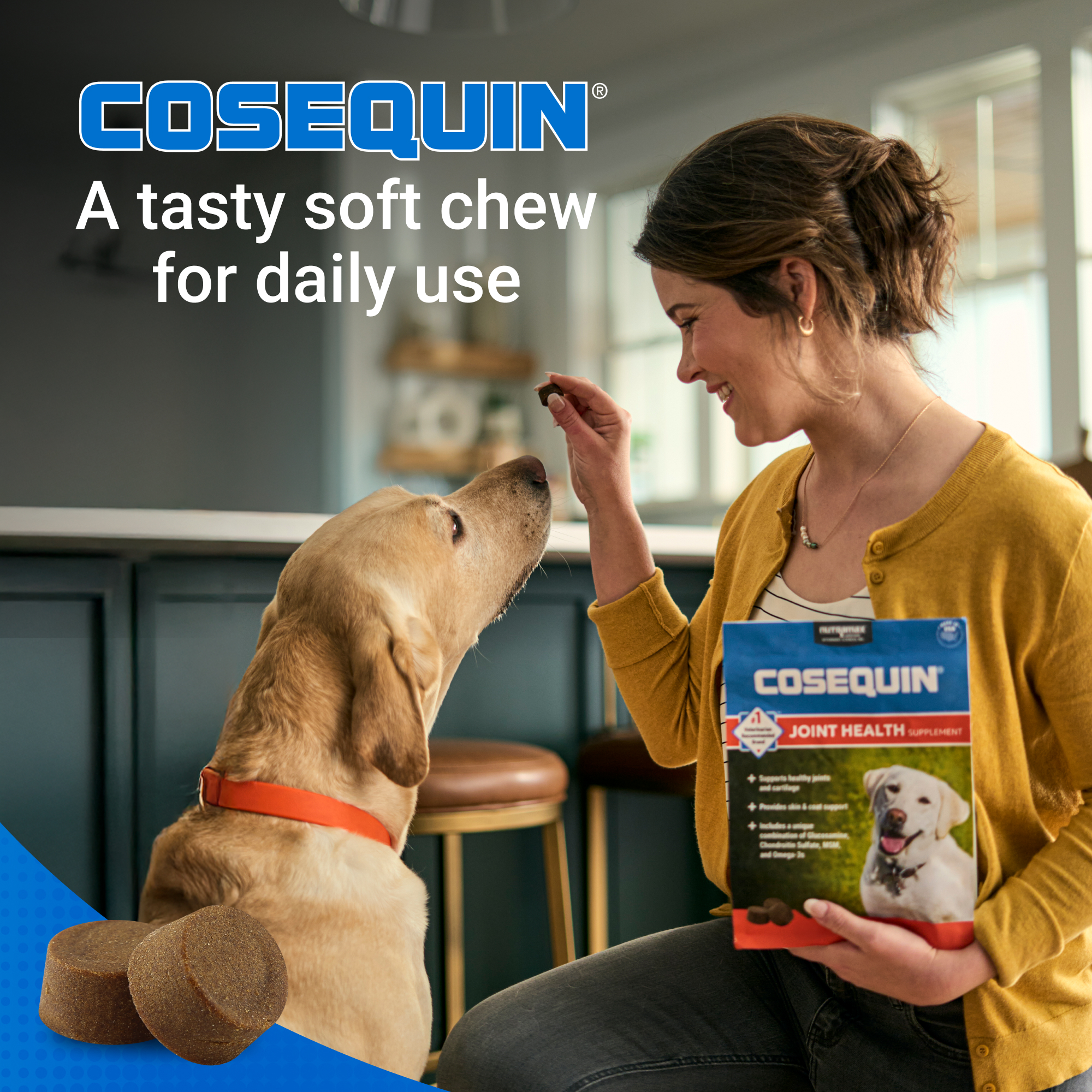 Dog Cosequin