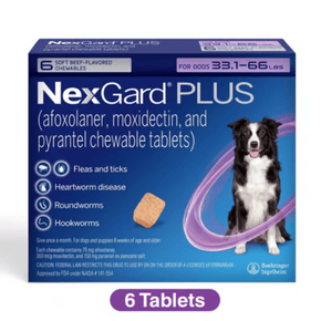 NexGard Plus for Dogs 33.1-66 lbs, 6 Chewables