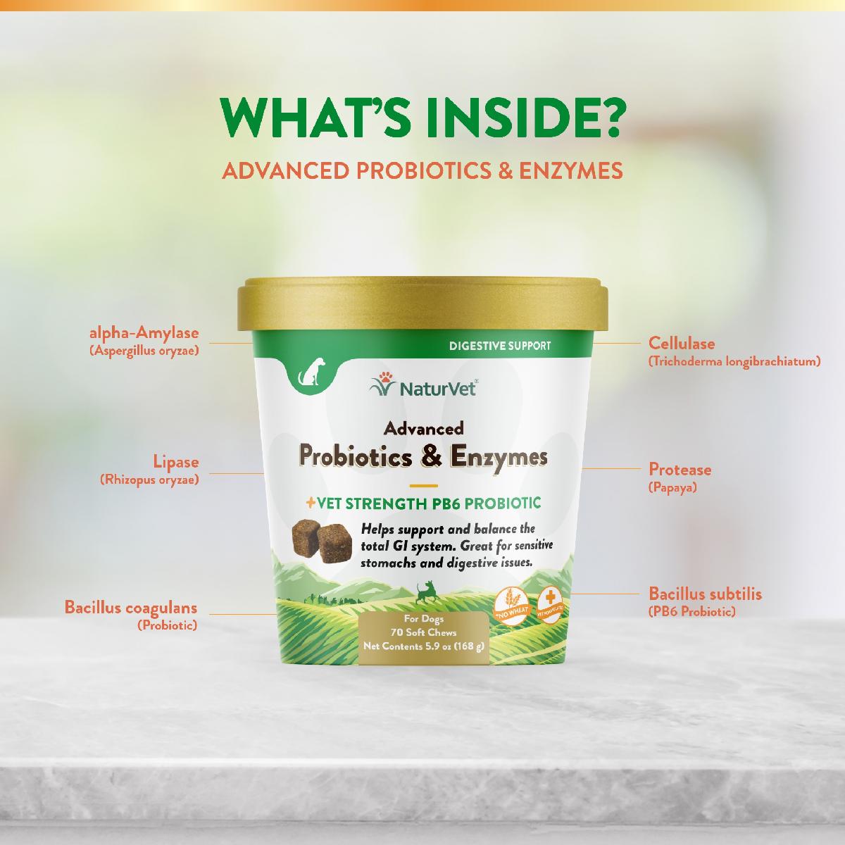 NaturVet Advanced Probiotics and Enzymes Soft Chews, Plus Vet Strength PB6 Probiotic, 70 count
