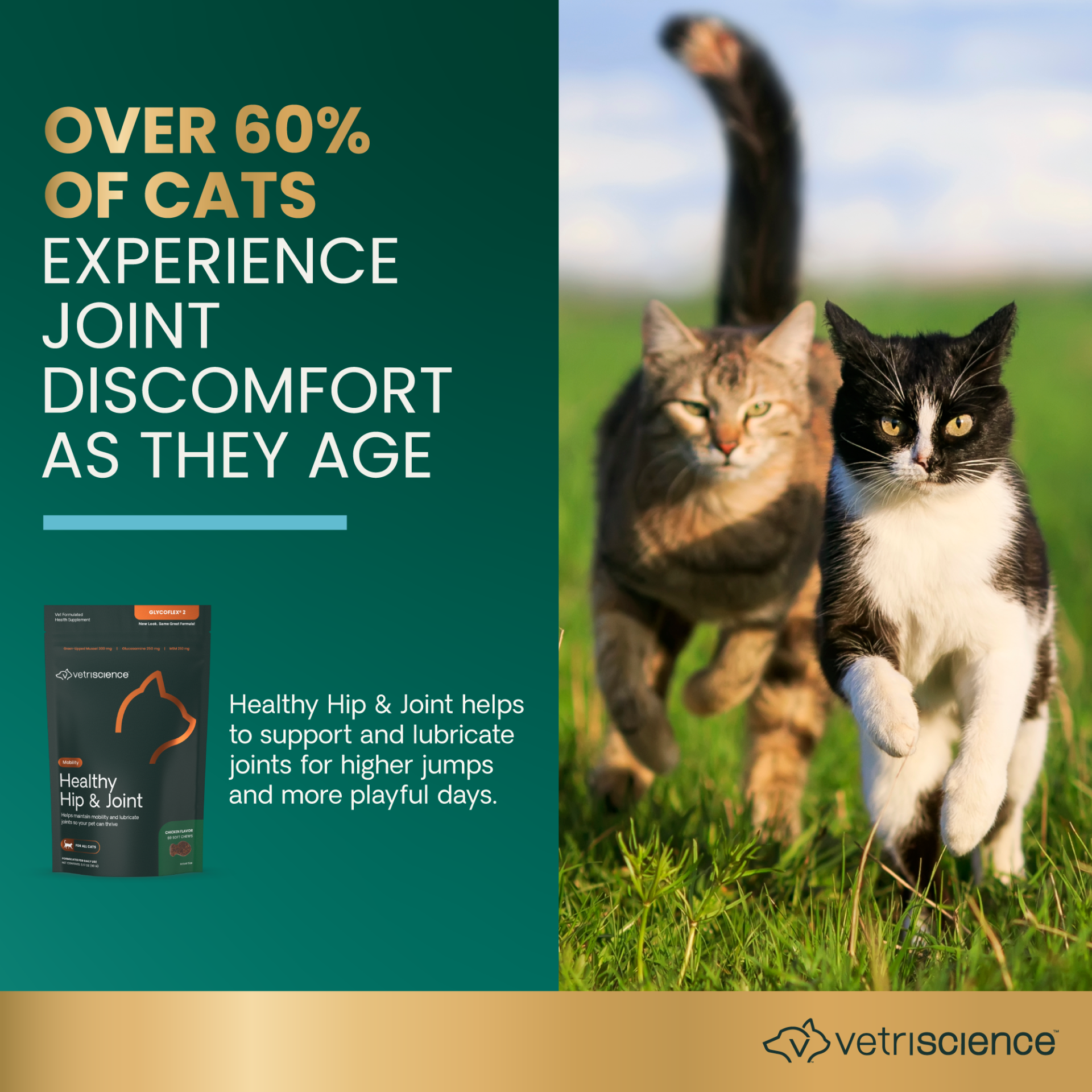 Healthy Hip & Joint for Cats