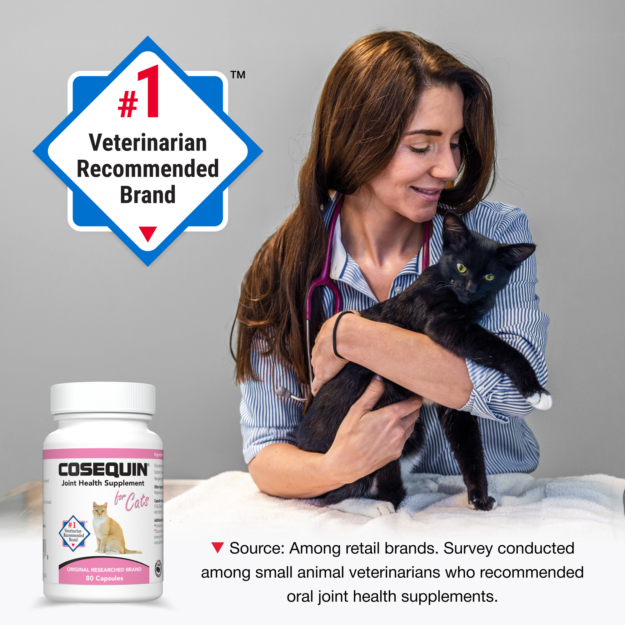 Nutramax Cosequin Cat