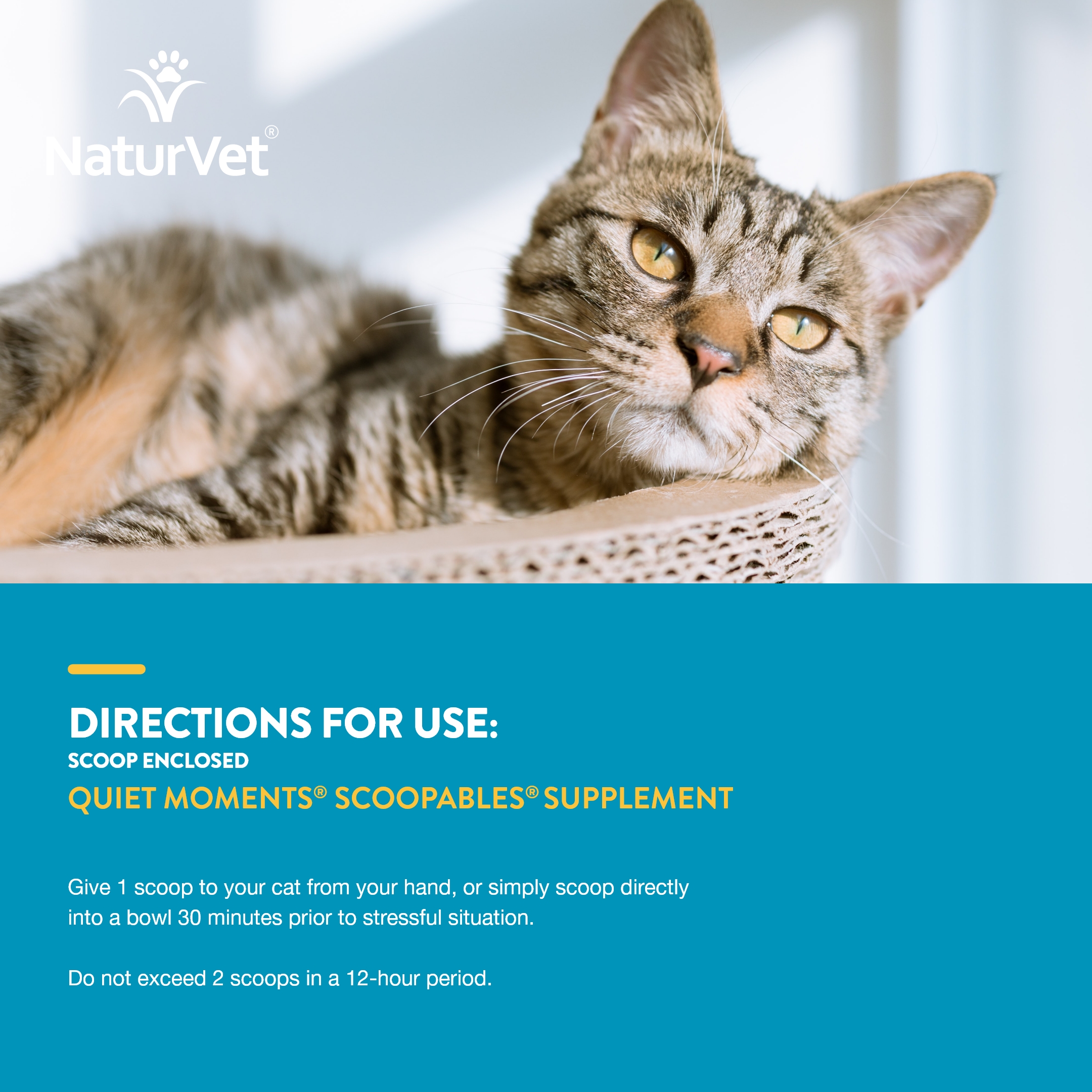 Scoopables CAT Quiet Moments SC