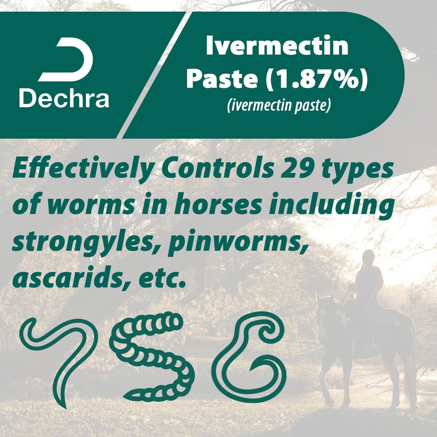 dechra-ivermectin-paste-187-anthelmintic-and-boticide-for-horses-decaa-805682_1500x1500