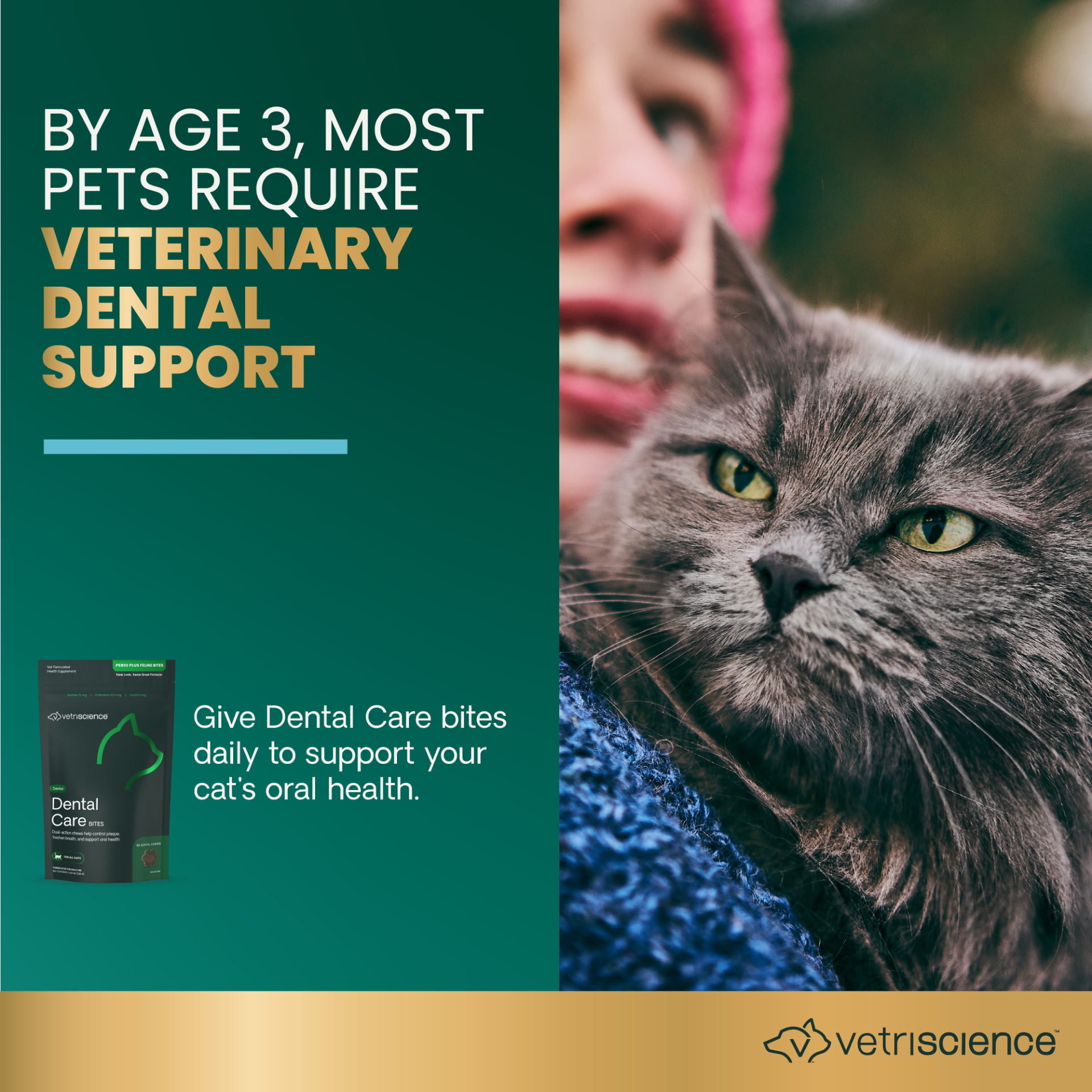 Dental Cate Bites Cat
