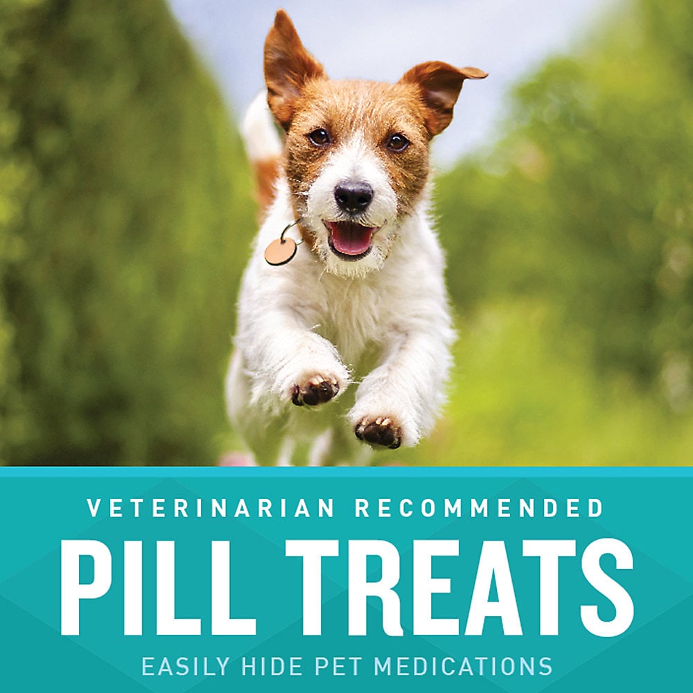 VetIQ Pill Treats Chicken Flavored Dog Soft Chews, 30 ct