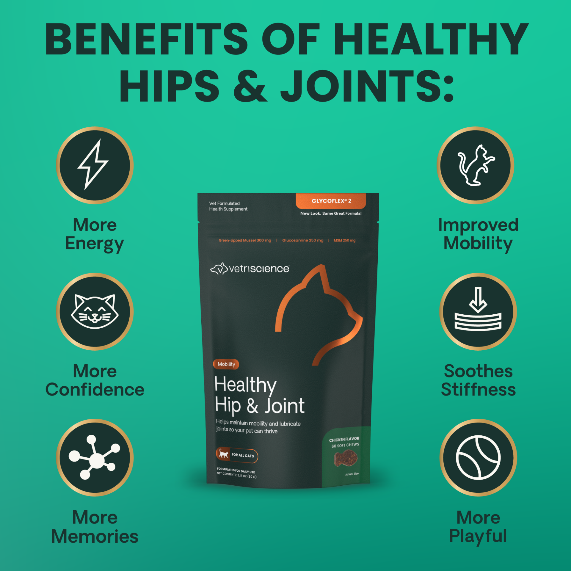 Healthy Hip & Joint for Cats
