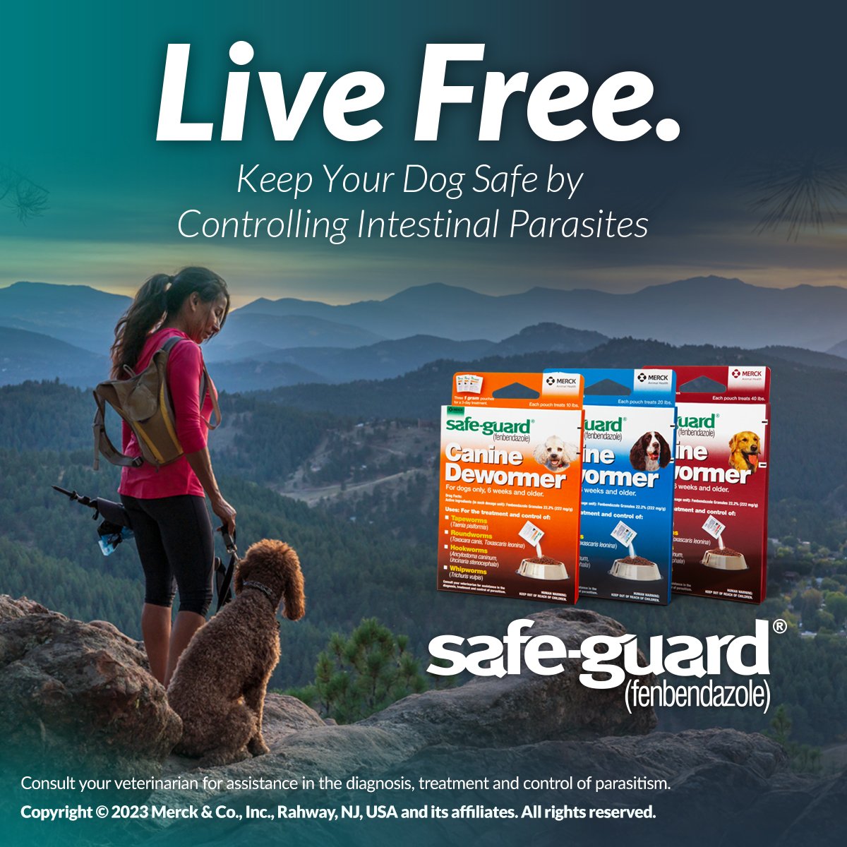Safe Guard Canine Dewormer (fenbendazole), 3 pack, 2 g packets