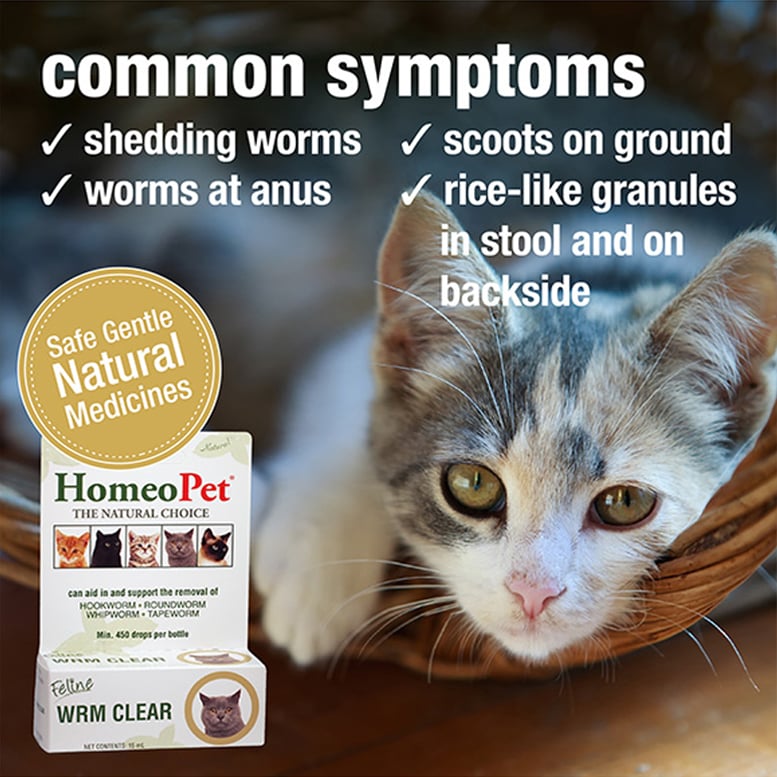 HomeoPet Feline WRM Clear, 15 mL