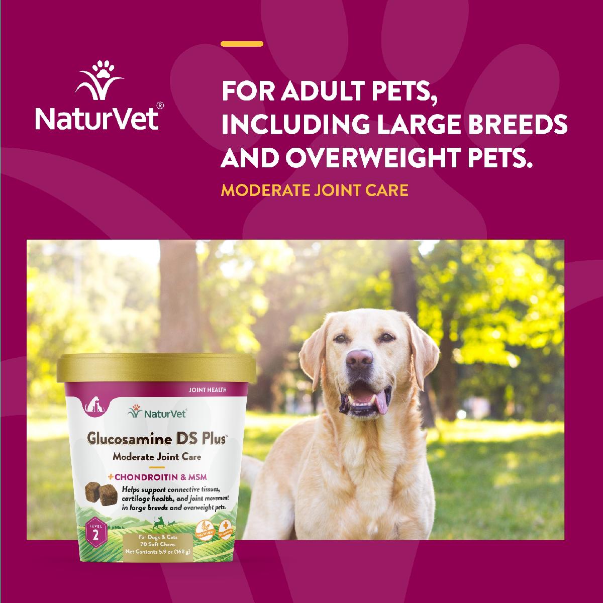 NaturVet Glucosamine DS Plus Level 2, 70 Soft Chews