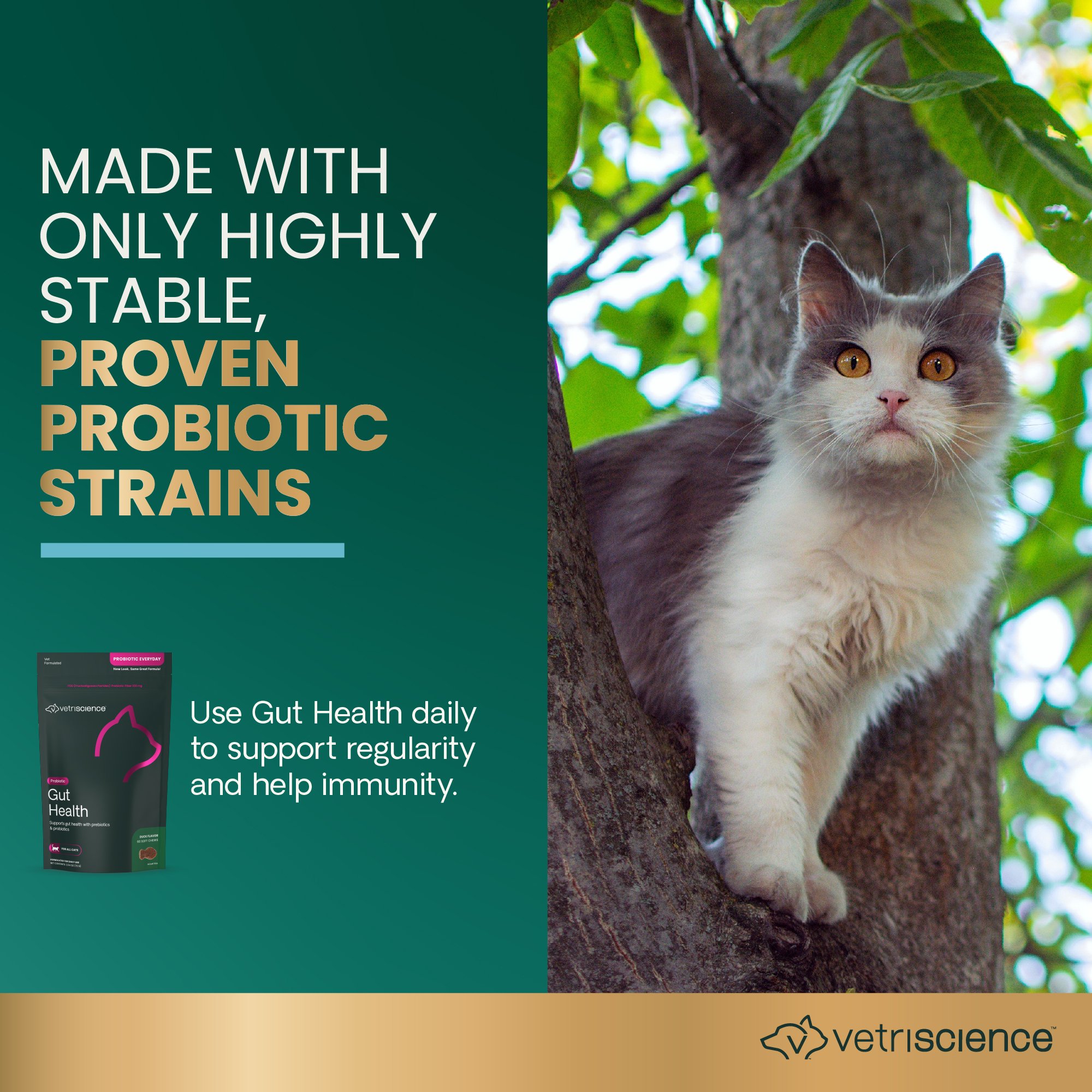 Probiotic Cat