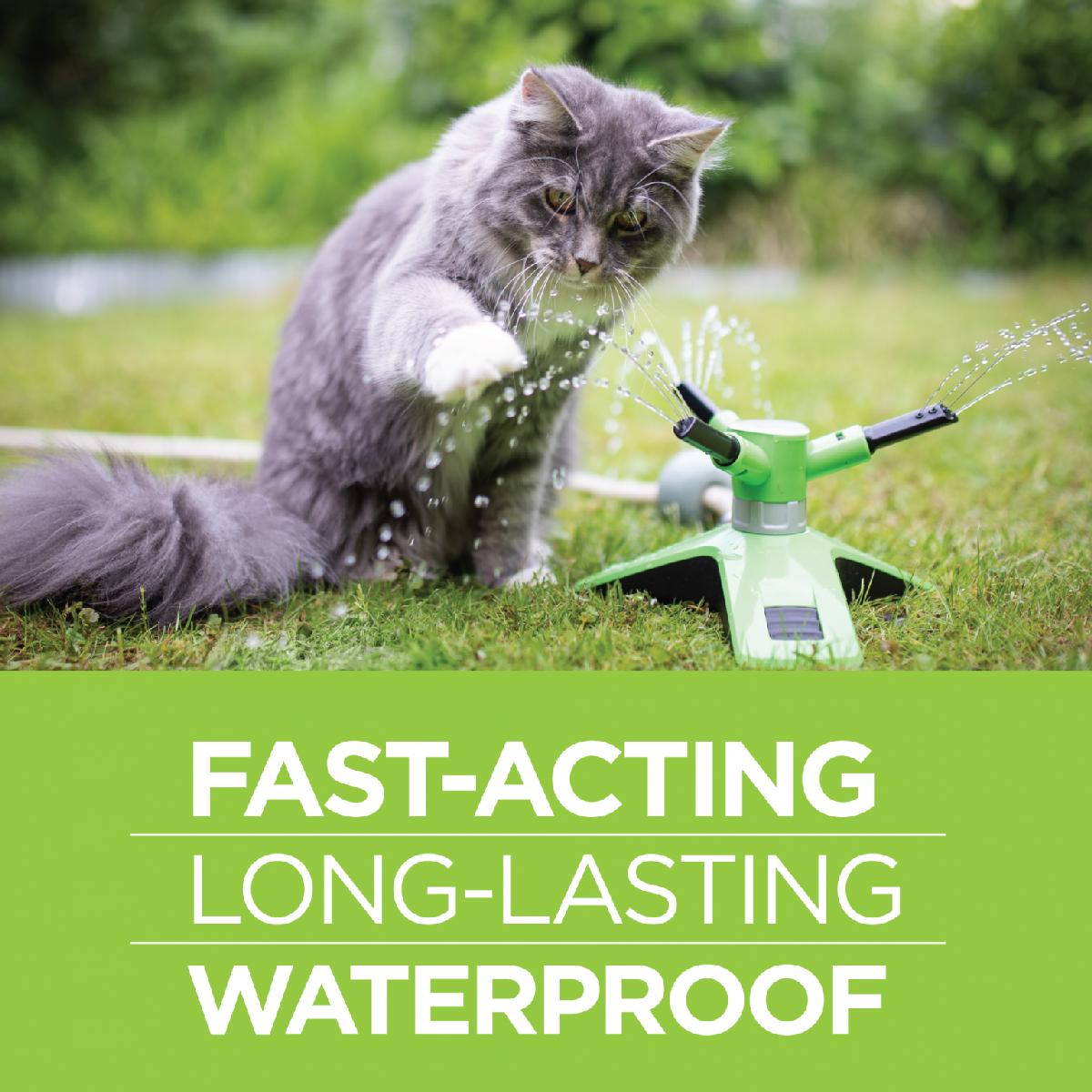 Vetality Firstect Plus For Cats over 1.5 lbs., 3 doses