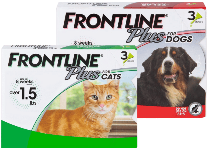 Examples of Frontline Boxes