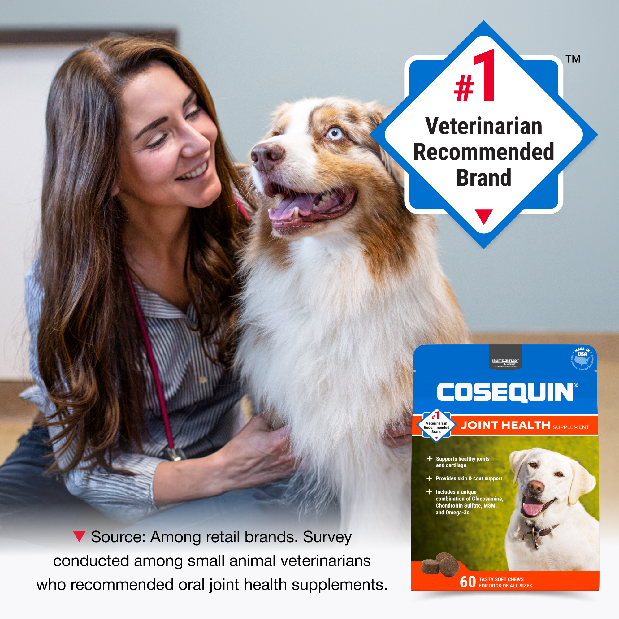 Dog Cosequin