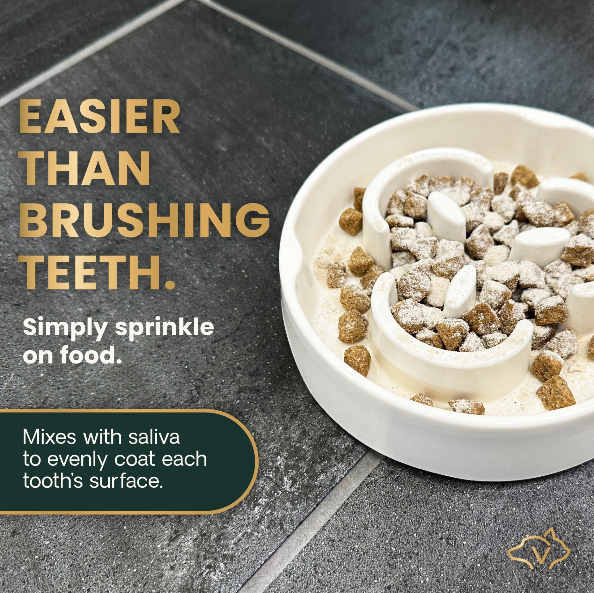 Dental Care