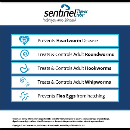 Sentinel Flavor Tabs (milbemycin oxime:lufenuron) for Medium Dogs, 26 50 pounds, 6 doses