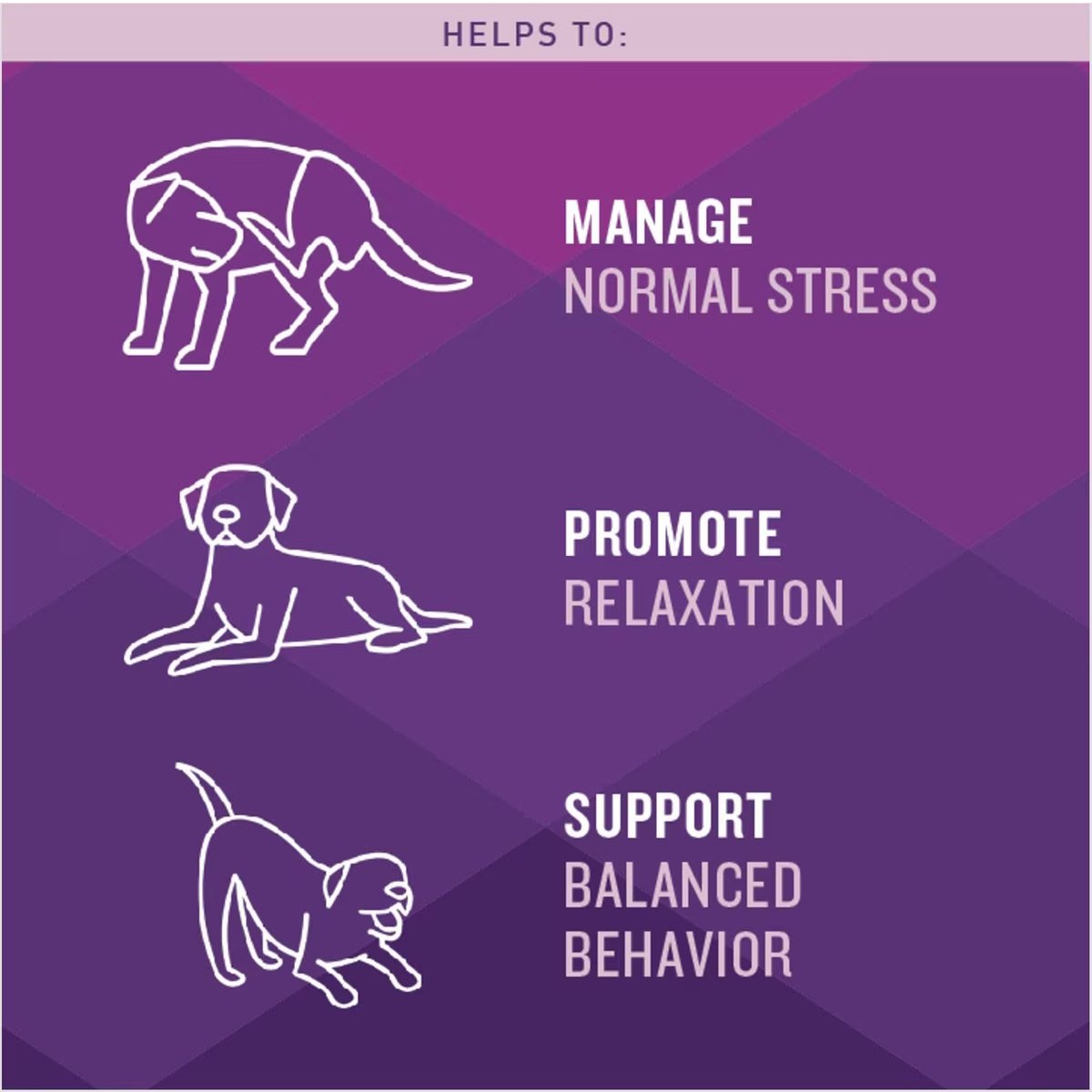 VetIQ Calming Soft Chew Calming Supplement for Dogs, 60 count