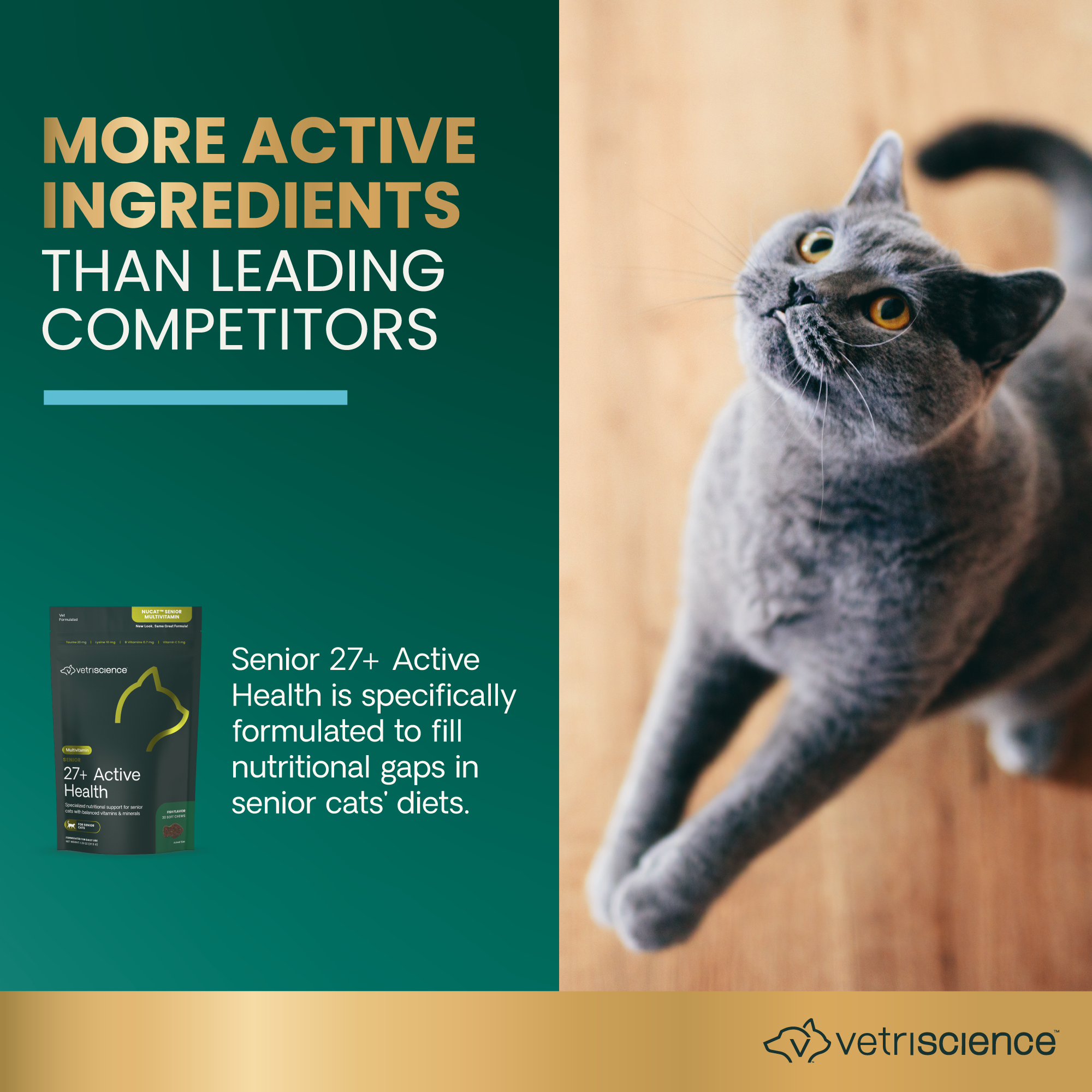 Feline Active Health
