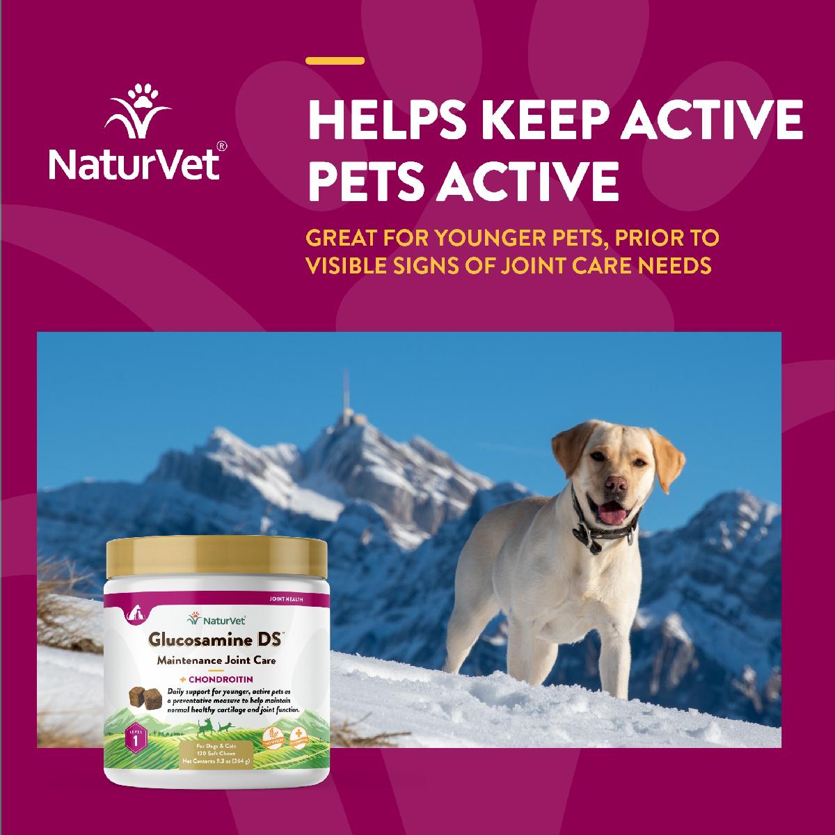NaturVet Glucosamine DS Soft Chews, Level 1 Maintenance Care for Dogs and Cats, 120 count