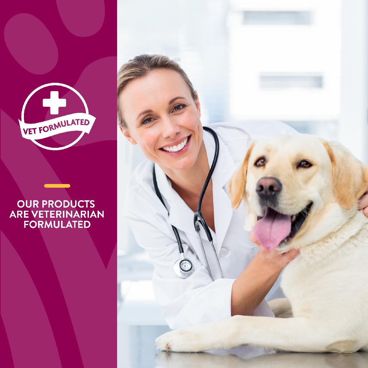 NaturVet Glucosamine DS Plus Soft Chews, Level 2 Moderate Care for Dogs and Cats, 120 count