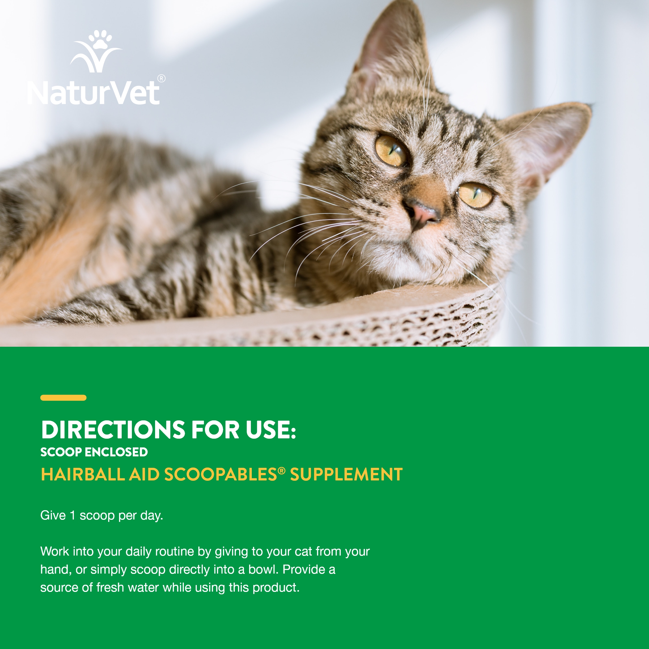 Scoopables CAT Hairball Aid SC 5.5oz