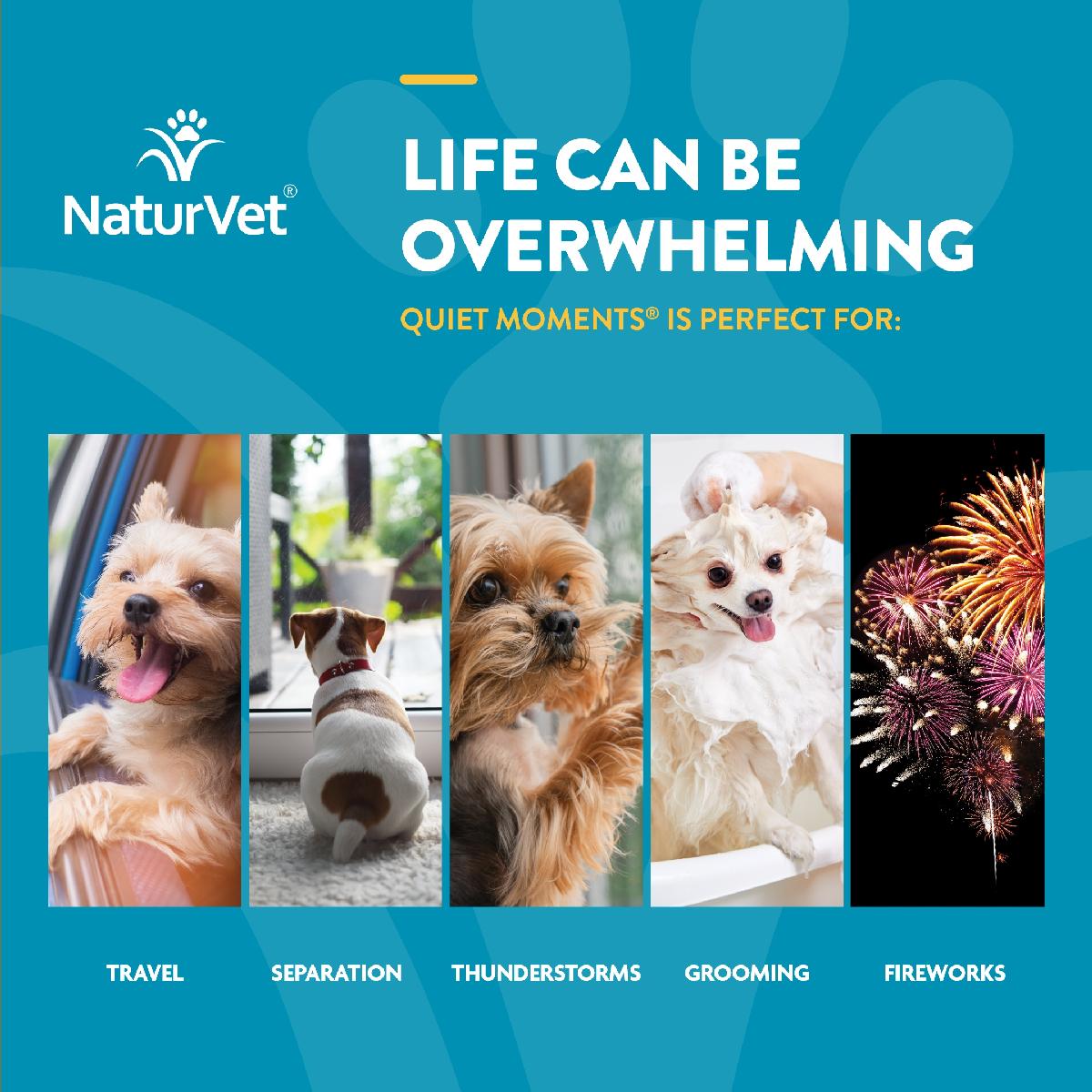 NaturVet Quiet Moments Dog Soft Chews Plus Melatonin, 70 count
